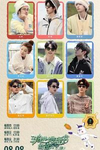 ��������������е�����