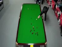 2024˹ŵ�˵¹���ʦ�� ���������տ�����5-3�ϡ���յ� 20240130